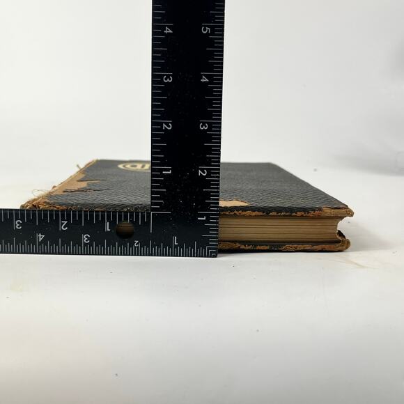 1915 University South Dakota Coyote Yearbook Alumni Ancestry Genealogy Antique - Picture 16 of 16